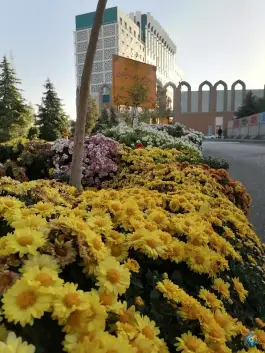 عکس دانشگاه جامع انقلاب اسلامی - محله کاج، تهران 2