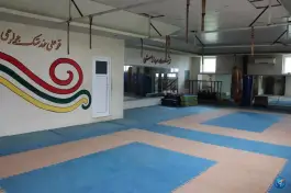 عکس مجموعه ورزشی شهید رامین امیری «استخر امیری» ماسال 6