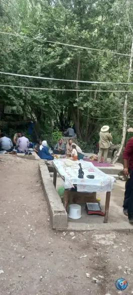 عکس رستوران دربند سفیدبرگ با کباب ماهی، کلاشی، جوانرود 2