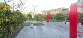 عکس فضای سبز، بیست متری امام خمینی، شیراز 1