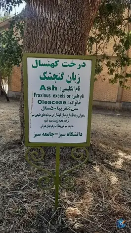 عکس دانشگاه بوعلی سینا، جوادیه، همدان 6