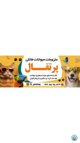 عکس پت شاپ پرتقال، کرج نو، کرج 2