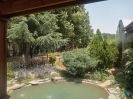 عکس کافه گلخونه، چهارباغ 10