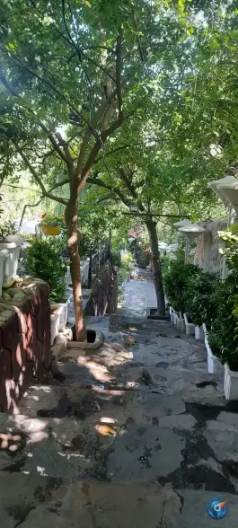 عکس رستوران سایدا، شهران شمالی، تهران 3