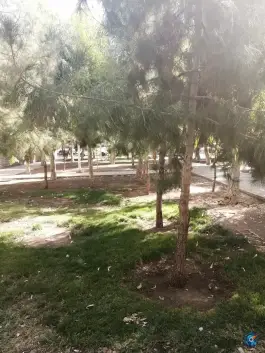 عکس بوستان شهداء، شهدا ۶، قم 2