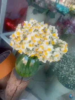 عکس گل فروشی آفتاب، محله شاه پسند، اصفهان 2