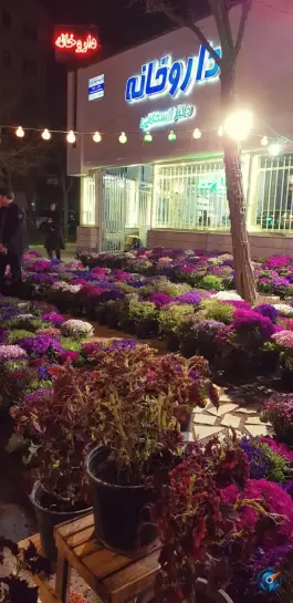 عکس داروخانه دکتر اسحاقی، بلوار معلم، مشهد 6