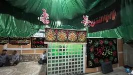 عکس آستان امامزاده سیدعلی رضی الدین «علیرضا» نرجس قم 5