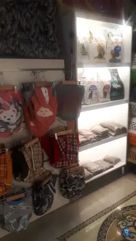 عکس پت شاپ pinky paw، گوهردشت کرج 1