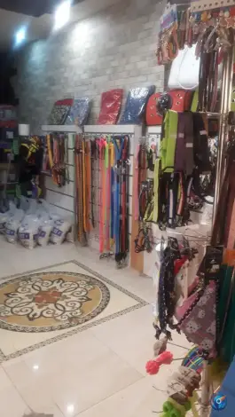 عکس پت شاپ pinky paw، گوهردشت کرج 5
