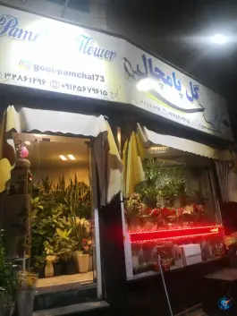 عکس گل فروشی پامچال، بلوار هفتم تیر، کرج 1