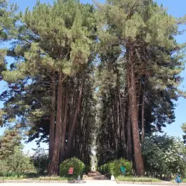 باغ و عمارت جهانی اکبریه، محله اکبریه، بیرجند