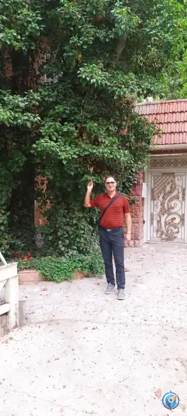عکس شاندیز خادر، شاندیز، مشهد 3