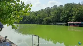 عکس مجتمع رفاهی تکتا «صدا و سیما» ونک تهران 4