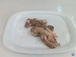 عکس طباخی راد محله بهاران مشهد 7