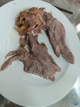 عکس طباخی راد محله بهاران مشهد 9