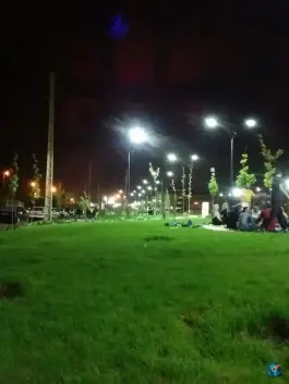فضای سبز حاشیه جاده، شهرک بهشتی، شیراز