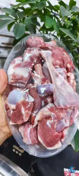 سوپر گوشت میلاد «قصابی شیری» شیراز