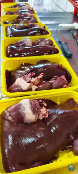 عکس سوپر گوشت میلاد «قصابی شیری» شیراز 5