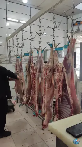 عکس سوپر گوشت میلاد «قصابی شیری» شیراز 7