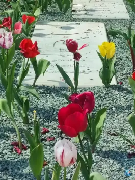 عکس حسینیه گلستان شهدا، عاشق آباد، اصفهان 1