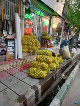 ترش و ملس، قدس، قم