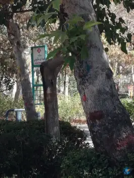 عکس بوستان تالار پارک شهدای ملکوتی، ملاصدرا، اصفهان 4