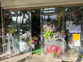 عکس گل رادمان، پاسداران، اصفهان 2