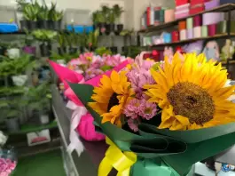 عکس گل رادمان، پاسداران، اصفهان 3