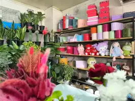 عکس گل رادمان، پاسداران، اصفهان 5