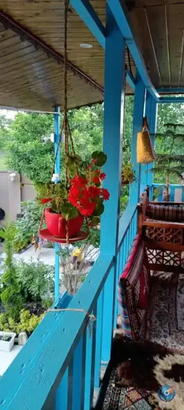 عکس مجتمع اقامتی و پذیرایی چوبی دیزخونه عمارت ابی ولیعصر ماسال 2