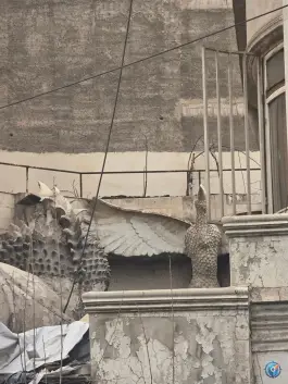 عکس ساختمان آدم و حوا، محله هروی حسین آباد، تهران 2