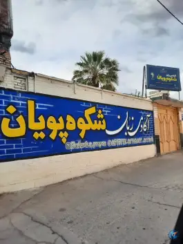 آموزشگاه زبان شکوه پویان پسران، ولیعصر غربی، شهرضا
