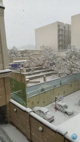 عکس دبیرستان پسرانه شهید علیرضا حمزه لو، محله شاهین، تهران 3