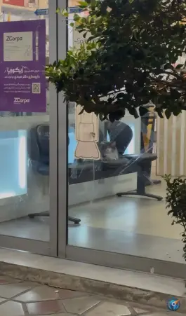 داروخانه شبانه روزی ملاصدرا، ونک، تهران