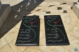 دانشگاه آزاد اسلامی واحد دامغان، دانشگاه، دامغان