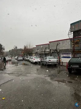 عکس بازار انقلاب، محله میدان گاز، شیراز 5
