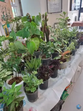 عکس فرهنگسرای کتاب، محله گلستان، شیراز 5