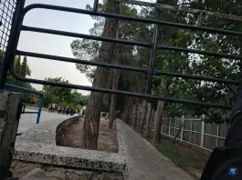 عکس بوستان شکوفه، شهرک بهار، شیراز 8