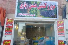 عکس های کشمش و مویز دشمن زیاری، شکوفه، شیراز