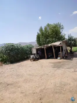 سبزی فروشی بلوار میثم شمالی شیراز