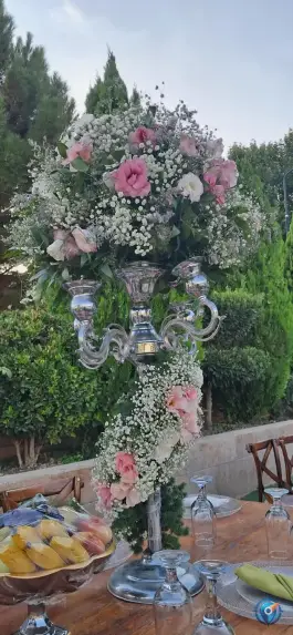 عکس عمارت بین الملل شیراز - پارمین 8