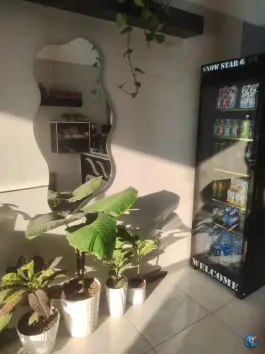 عکس کافه دوستان، محله جانبازان، شیراز 3