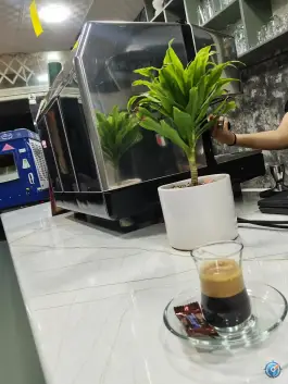 عکس کافه مون، بلوار امام رضا، بافت 5