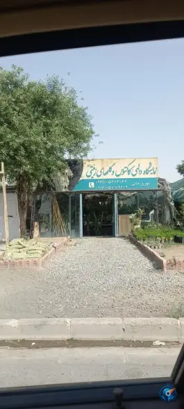 عکس نمایشگاه گل های زینتی، بلوار امام خمینی، کرج 1