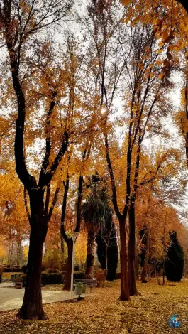 عکس بوستان هشت بهشت، محله نقش جهان، اصفهان 3