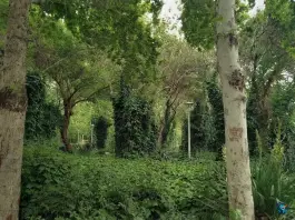 عکس بوستان ترمه، کمال الدین اسماعیل، اصفهان 1