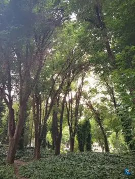 عکس بوستان ترمه، کمال الدین اسماعیل، اصفهان 2