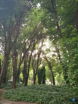 عکس بوستان ترمه، کمال الدین اسماعیل، اصفهان 3