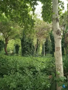 عکس بوستان ترمه، کمال الدین اسماعیل، اصفهان 5